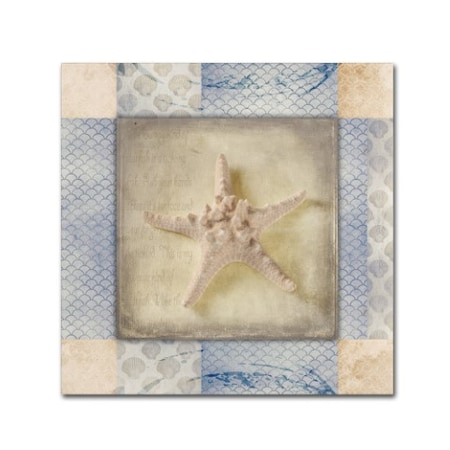 LightBoxJournal 'White Sea Bumpy Star' Canvas Art,14x14